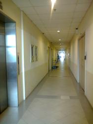 BIZLINK CENTRE (D14), Factory #100455432